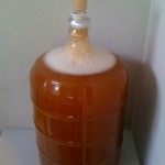 Primary fermentation